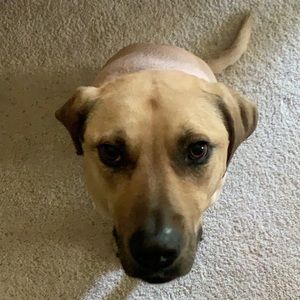 Meet your Posher, Sam